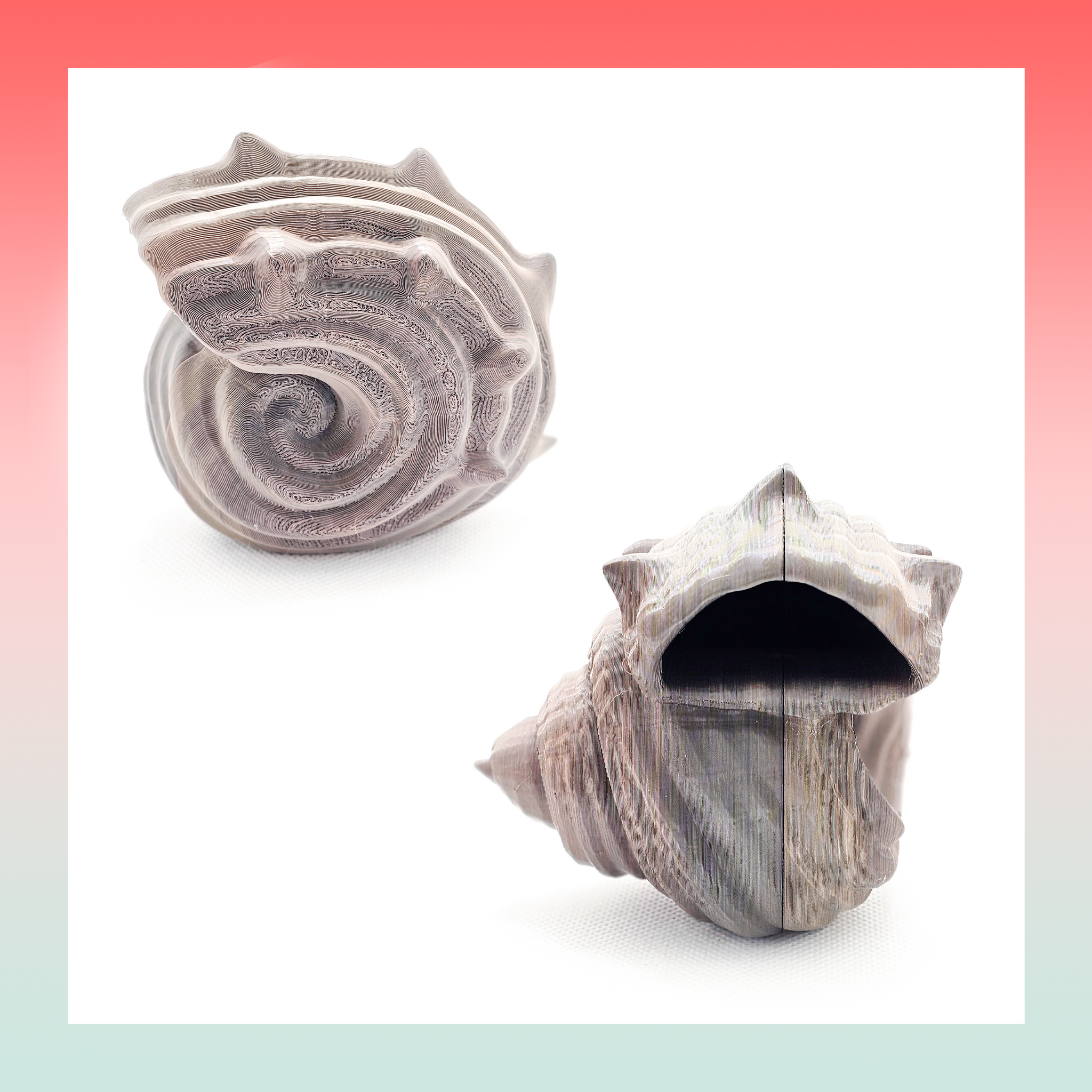 Hermie the Hermit Crab & Shell Set – Pickled Grits
