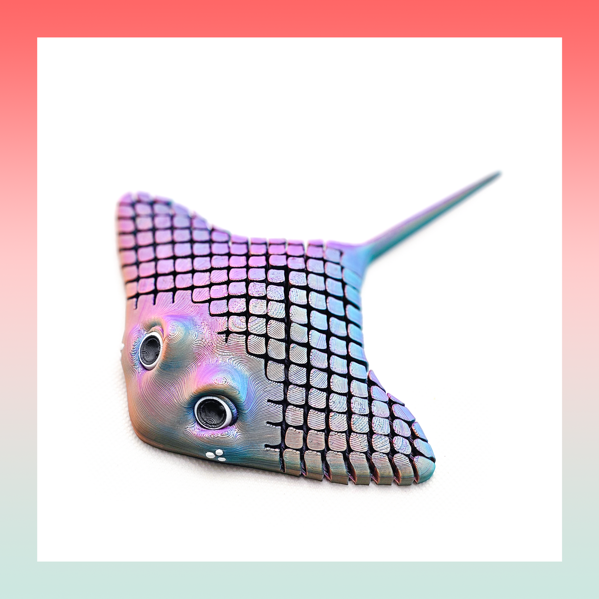Manuel the Manta Ray & Rock Set – Pickled Grits